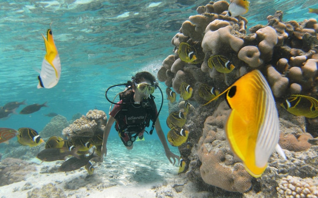 Get Diver Certified in Cook Islands